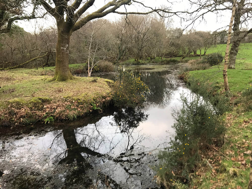 Griggs Pond