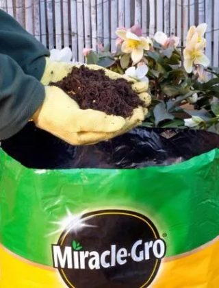 Compost Compost