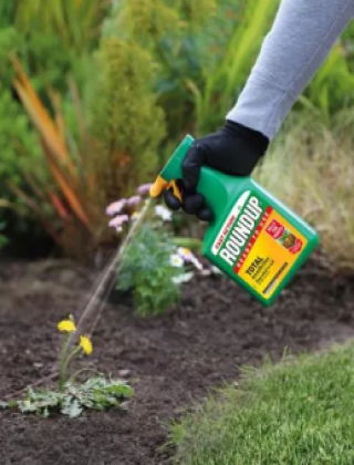 Weed & Bug Control Weed & Bug Control