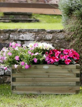 Planters & Grow Your Own Planters & Grow Your Own