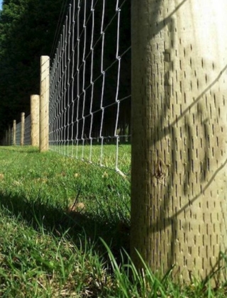 Fencing Stakes Fencing Stakes