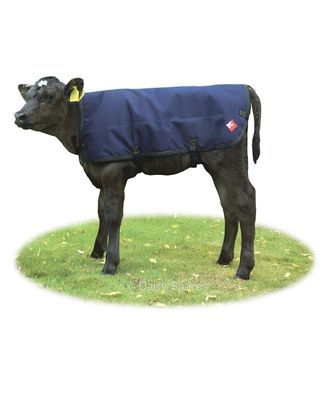 Calf Coats Calf Coats