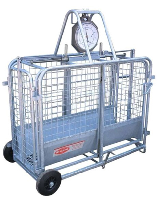 Weighing Crates Weighing Crates