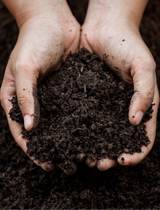 Compost Compost