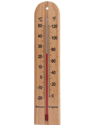 Brannan 200mm Wood Wall Thermometer 
