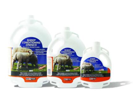 Nettex Sheep Conditioning Drench 1l