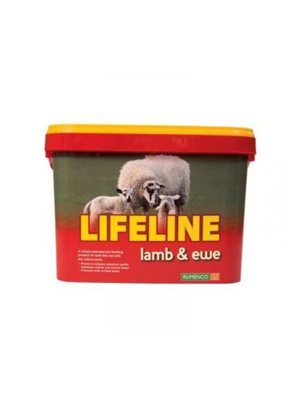 Lifeline Ewe & Lamb Bucket 