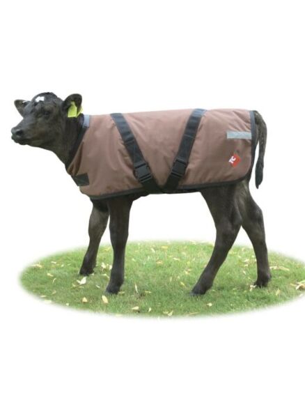 Dairy Spares Premium Calf Coat 75cm
