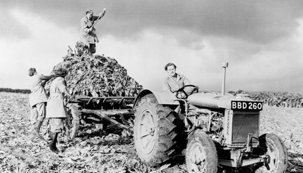 Agriculture During the War