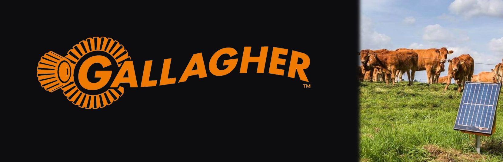 Gallagher Banner
