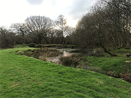 Griggs Pond